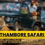 Trip to Ranthambore National Park