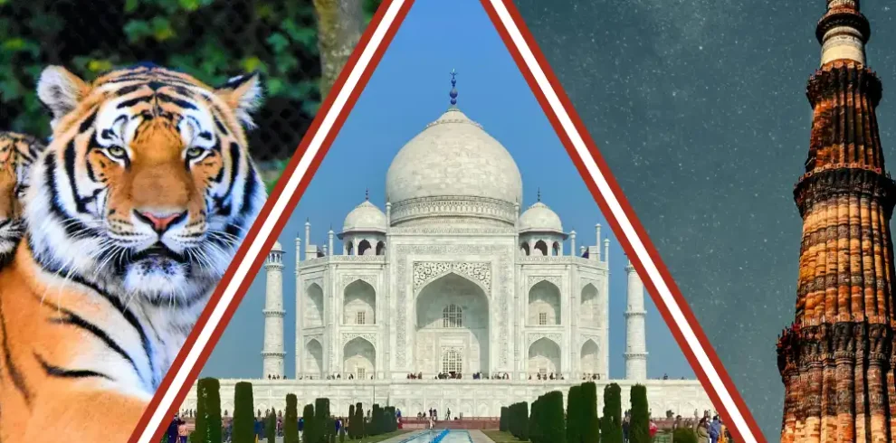 Golden Triangle Tour with Ranthambore