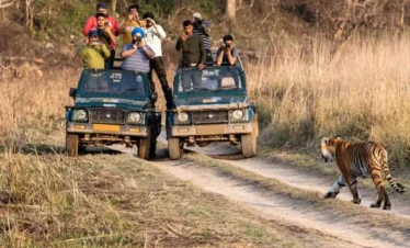 Ranthambore National Park Rajasthan Tourist Place