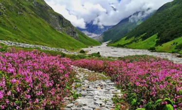 Valley of Flowers Trek
